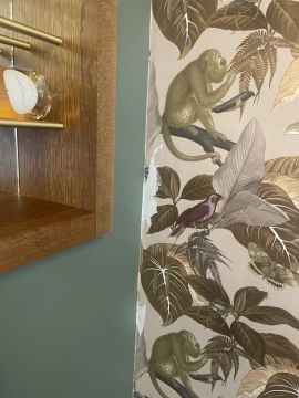 Wallpaper Removal Specialist