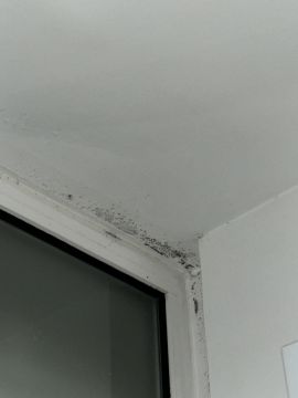 Obras en casa