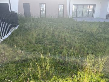 Jardinagem
