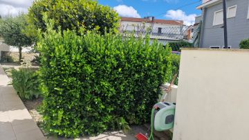 Gardener - Home Improvements