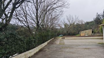 Poda e Manutenção de Árvores