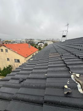 Instalação ou Substituição de Telhado