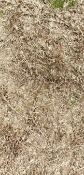 Gartenarbeit - Gartenarbeiten