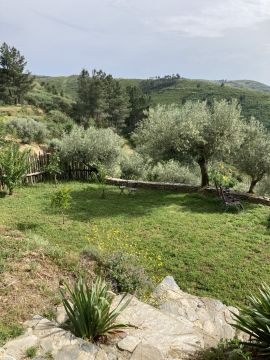 Jardinagem e Relvados