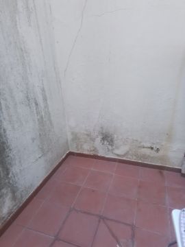 Pintor de Casas
