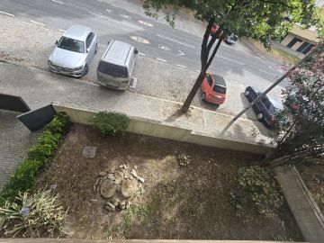 Serviço de Jardinagem