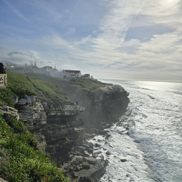 Gonçalves - Sintra - Organização da Casa