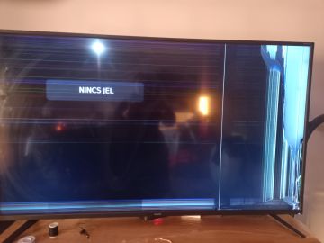TV Repair Specialist