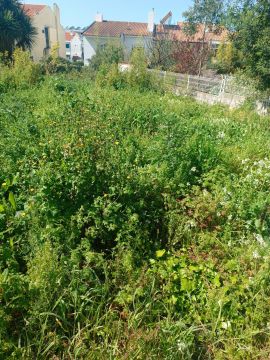 Gardening - Lawncare