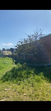 Serviço de Jardinagem