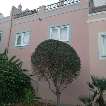 Pintor de Exterior