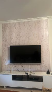 TV Repair Specialist