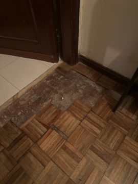 Técnico de Pisos em Madeira