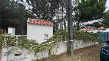 Serviço de Jardinagem - Casa