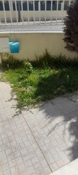 Gartenarbeit - Gartenarbeiten
