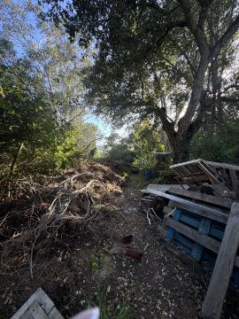 Serviço de Jardinagem