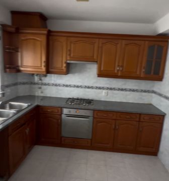 Cabinet Painter