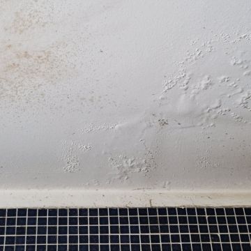 Peintre en bâtiment intérieur