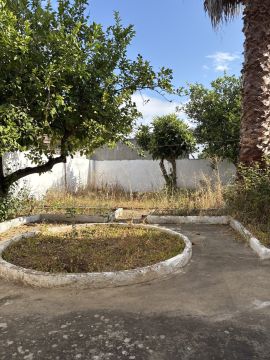Serviço de Jardinagem