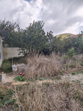 Jardinagem e Relvados - Casa