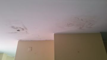 Painters