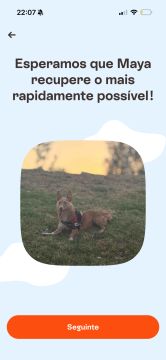 Hotel para Cães