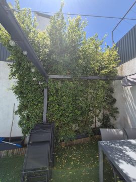 Serviço de Jardinagem