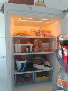 Manutenção ou Reparação de Frigorífico