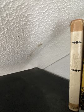 Reparação ou Manutenção de Telhado