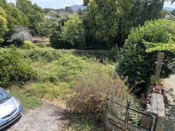 Serviço de Jardinagem