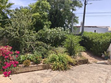 Serviço de Jardinagem - Casa