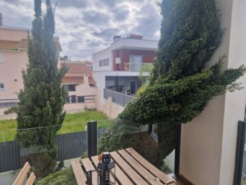Tree Trimming and Maintenance