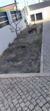 Spezialisten für Kunstrasen