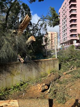 Jardinagem e Relvados
