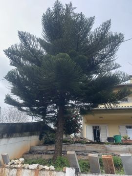 Jardinagem e Relvados