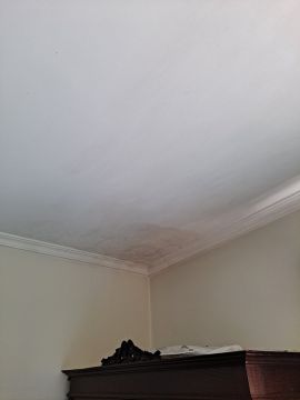 Pintura de Casas
