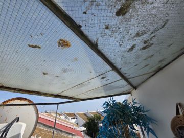 Limpeza de Telhado - Telhados e Coberturas