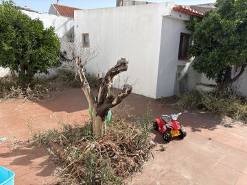 Serviço de Jardinagem