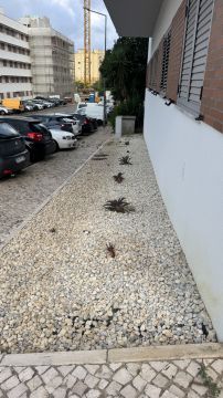 Jardinagem - Jardinagem e Relvados
