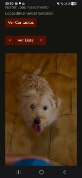Hotel para Cães