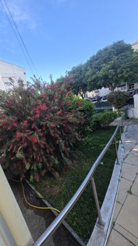 Jardinagem