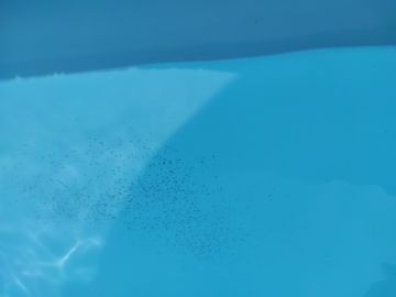 Especialista de Reparação de Piscinas