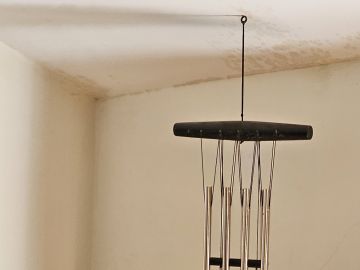 Interior Painter