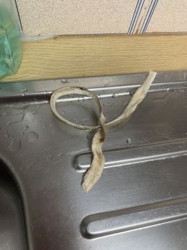 Serviço de Canalização