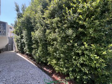 Jardinagem e Relvados
