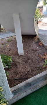 Artificial Turf Specialist