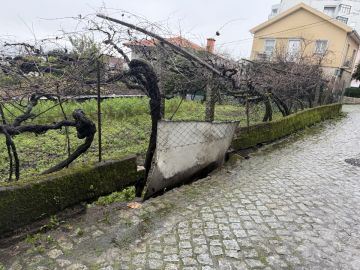 Construtor de Muros