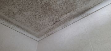 Additions and Remodels