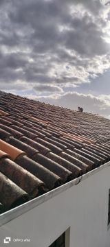 Roof Installation Professional