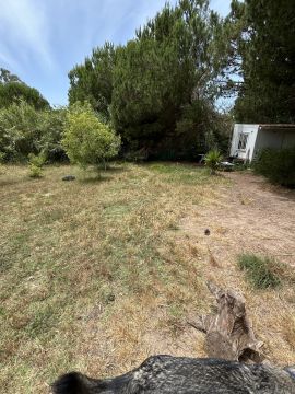 Gardener - Home Improvements